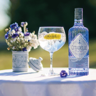 Citadelle & Tonic